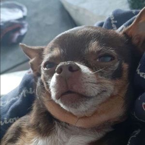 Meet your Posher, Selena